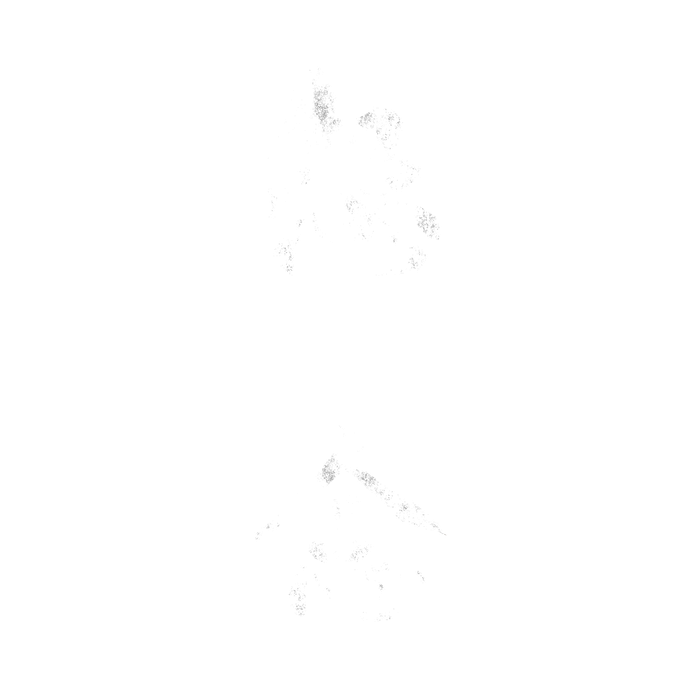 Escape: Malice